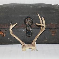 Vintage Deer Antlers